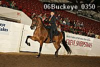 06buckeye_0350 proof