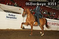 06buckeye_0351 proof