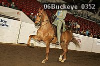 06buckeye_0352 proof