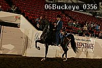 06buckeye_0356 proof