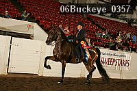 06buckeye_0357 proof