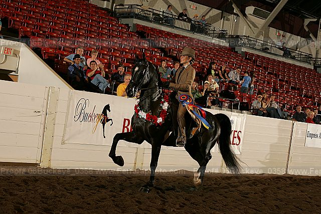 Proof 06buckeye_0358