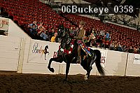 06buckeye_0358 proof