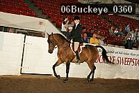 06buckeye_0360 proof