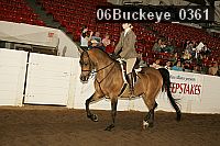 06buckeye_0361 proof