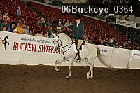 06buckeye_0364 proof