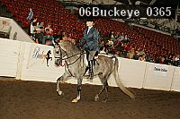 06buckeye_0365 proof