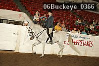 06buckeye_0366 proof
