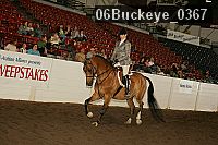 06buckeye_0367 proof
