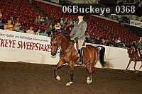 06buckeye_0368 proof