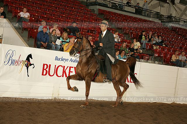 Proof 06buckeye_0372