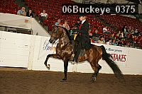 06buckeye_0375 proof