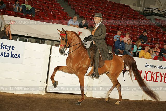 Proof 06buckeye_0376