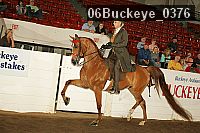06buckeye_0376 proof