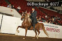 06buckeye_0377 proof