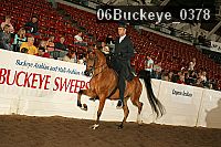 06buckeye_0378 proof