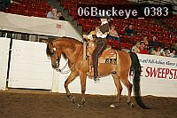 06buckeye_0383 proof