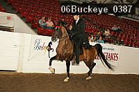 06buckeye_0387 proof