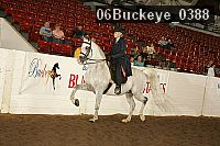 06buckeye_0388 proof