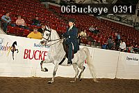 06buckeye_0391 proof