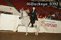 06buckeye_0392 proof
