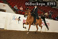 06buckeye_0393 proof