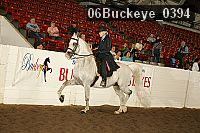 06buckeye_0394 proof