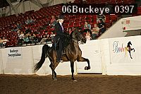 06buckeye_0397 proof
