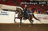 06buckeye_0399 proof