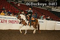 06buckeye_0403 proof