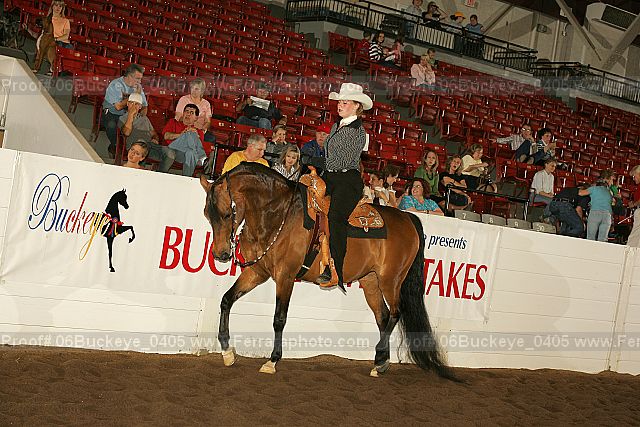 Proof 06buckeye_0405