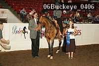 06buckeye_0406 proof