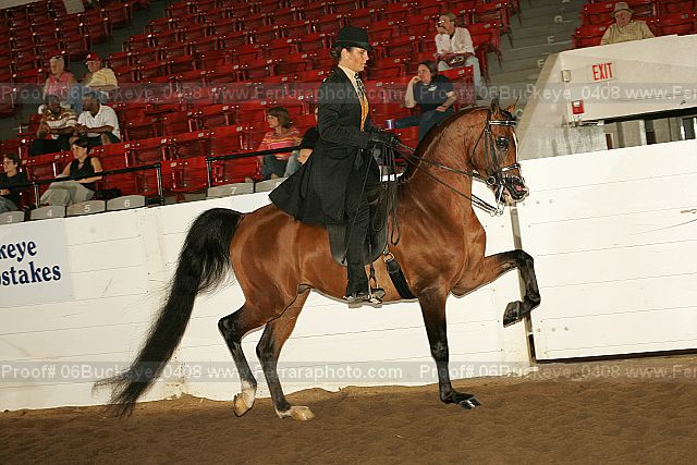Proof 06buckeye_0408