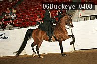 06buckeye_0408 proof