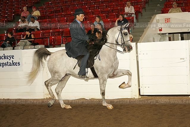 Proof 06buckeye_0409
