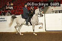 06buckeye_0409 proof