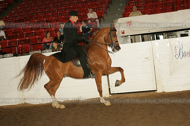 Proof 06buckeye_0410