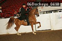 06buckeye_0410 proof