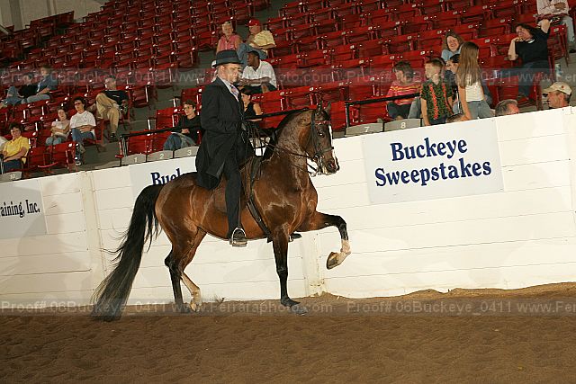 Proof 06buckeye_0411