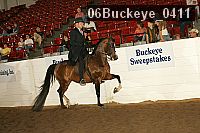 06buckeye_0411 proof