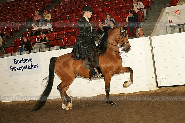 Proof 06buckeye_0412
