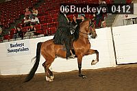 06buckeye_0412 proof