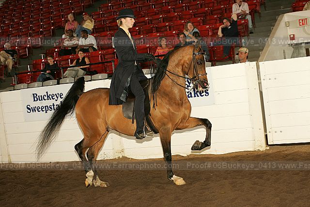 Proof 06buckeye_0413