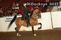 06buckeye_0413 proof