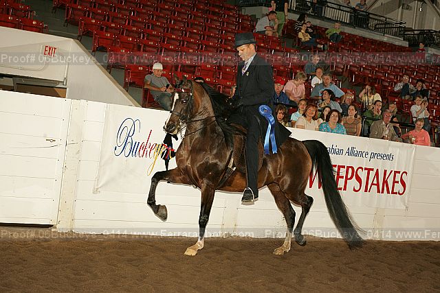 Proof 06buckeye_0414