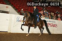 06buckeye_0414 proof