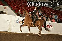 06buckeye_0416 proof