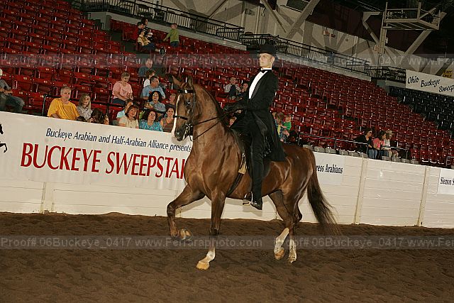 Proof 06buckeye_0417