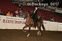 06buckeye_0417 proof