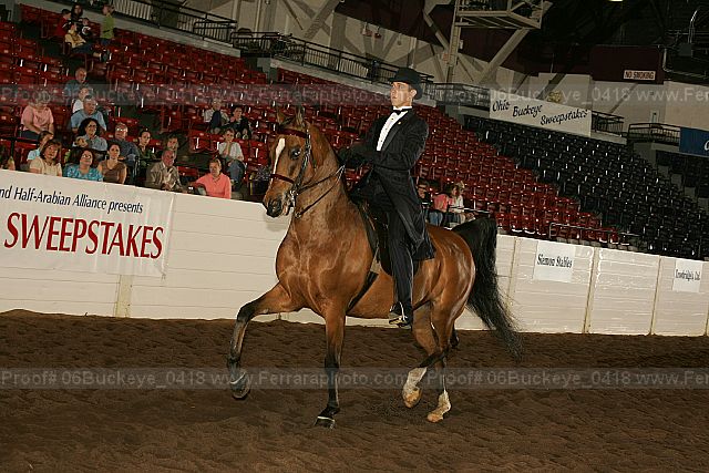 Proof 06buckeye_0418